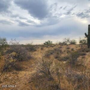 0 West Lone Mountain Road, Unit 139 Wittmann, AZ 85361 - Photo 7 of 11