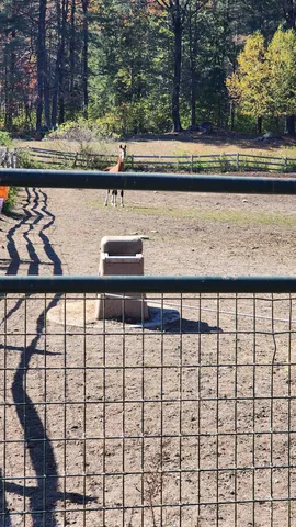 $1,900,000 | 484 Old Swanzey Road, Chesterfield, NH 03462