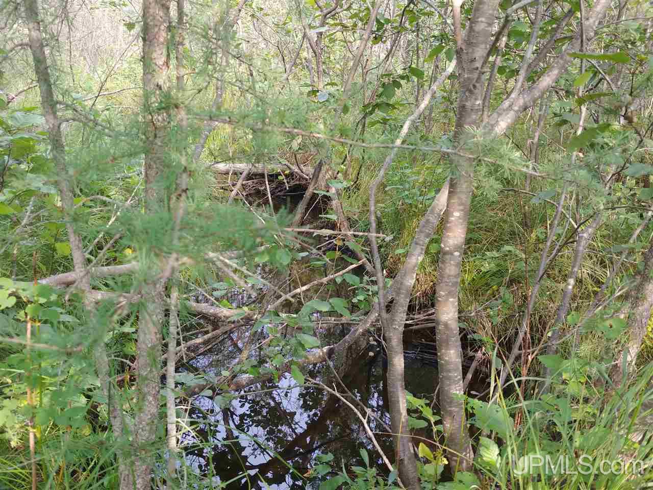 42-acres 42-acres Co Road Ishpeming, MI 49849 - Photo 16 of 16