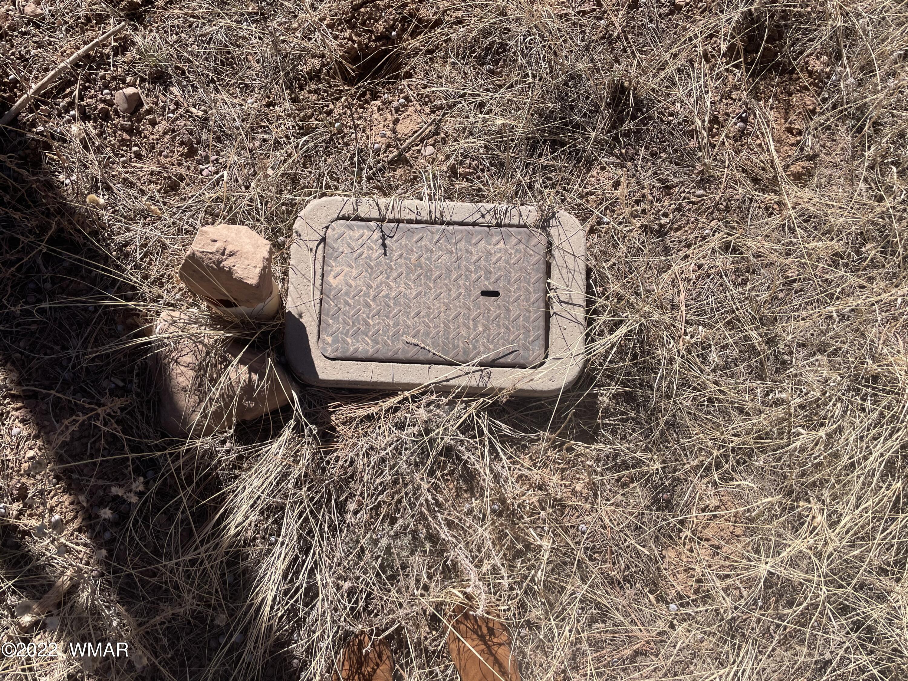 1011 Pine Ridge Drive Show Low, AZ 85901 - Photo 4 of 5