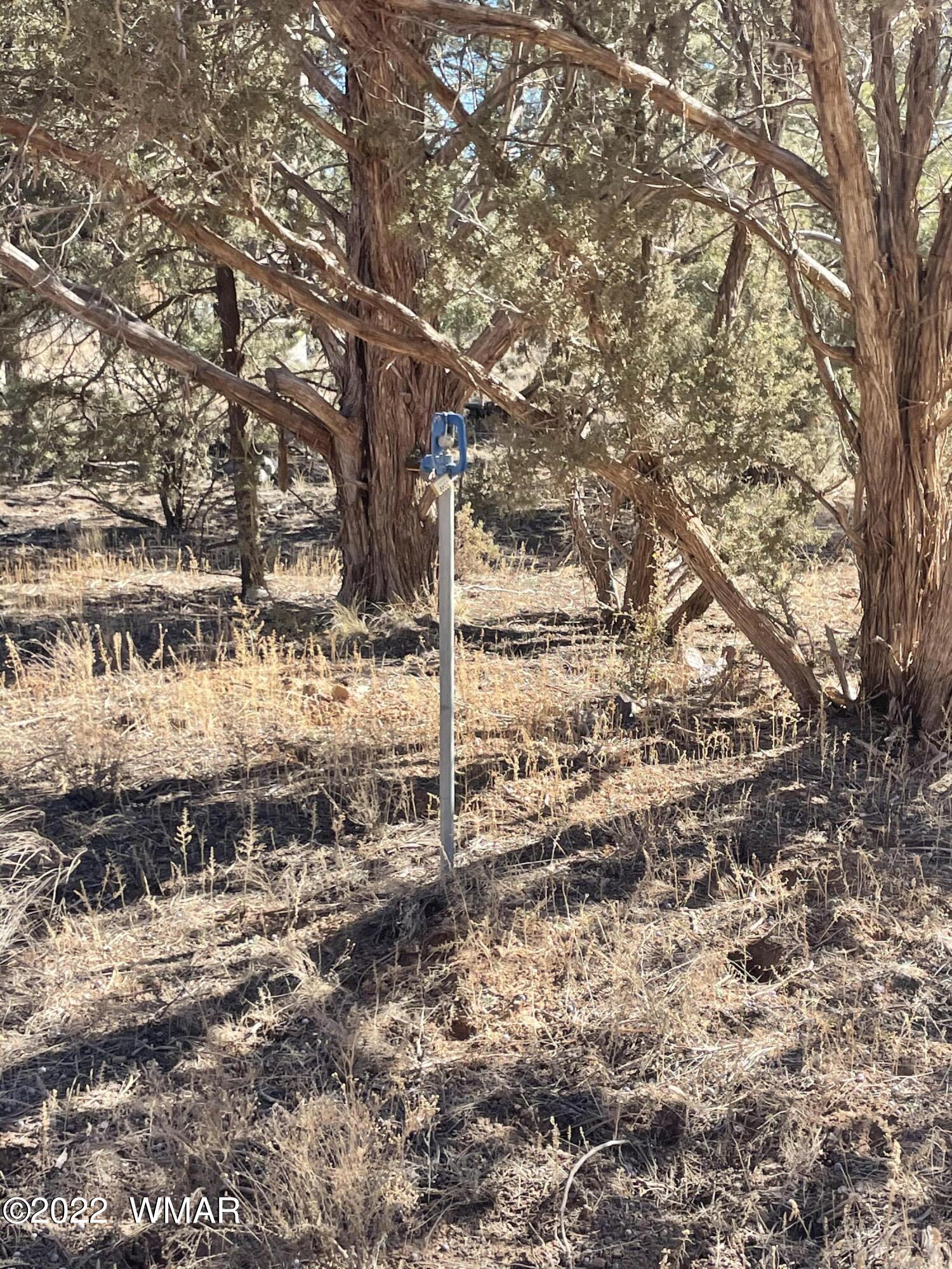 1011 Pine Ridge Drive Show Low, AZ 85901 - Photo 5 of 5