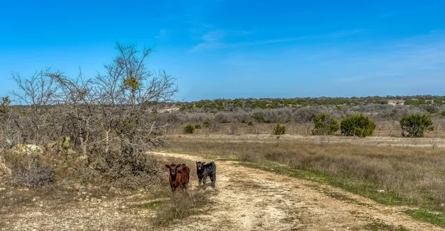 a view of a lake with a yard