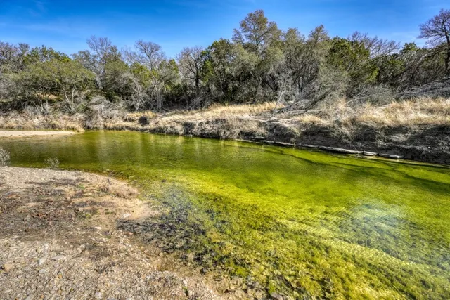 a view of yard with green space