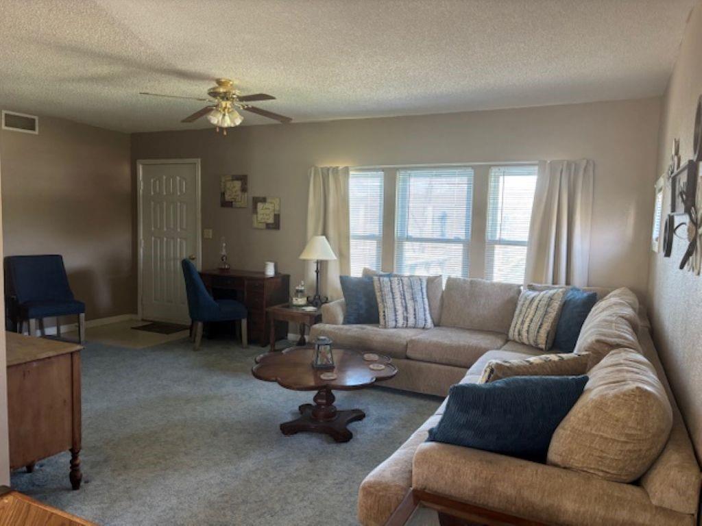592 Outlook Drive Edwards, MO 65326 - Photo 5 of 20