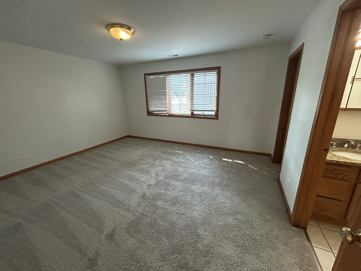 308 State Street, Unit 2 Lemont, IL 60439 - Photo 6 of 13 Gallery Image 6