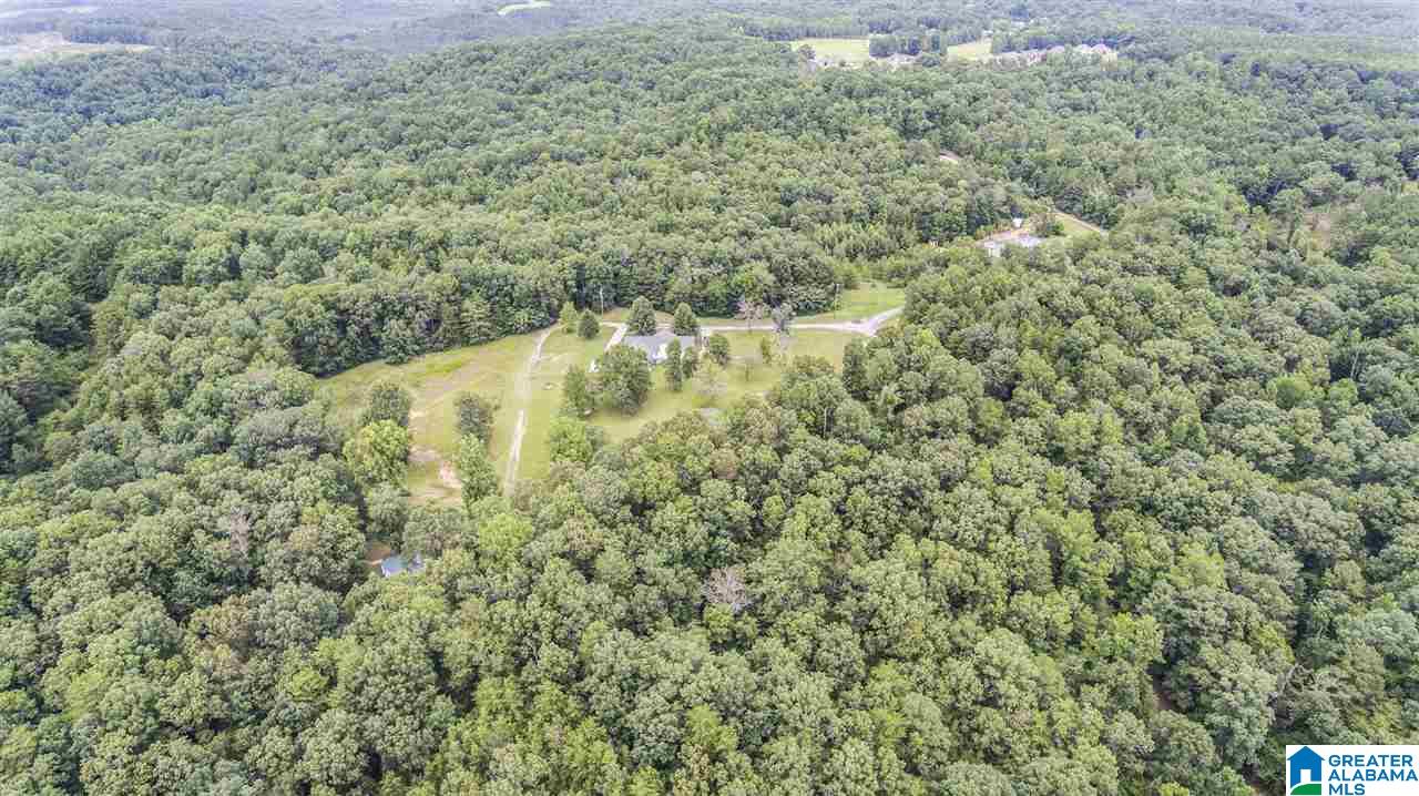 7901 Lock 17 Road Bessemer, AL 35023 - Photo 4 of 25