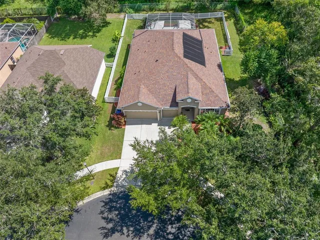a view of a yard with plants and large trees