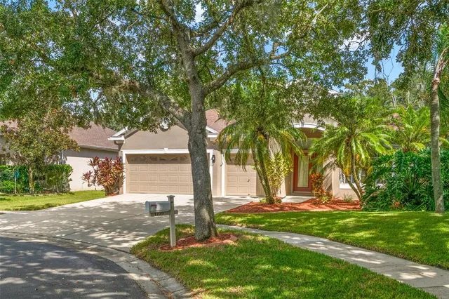 a view of a park with large trees