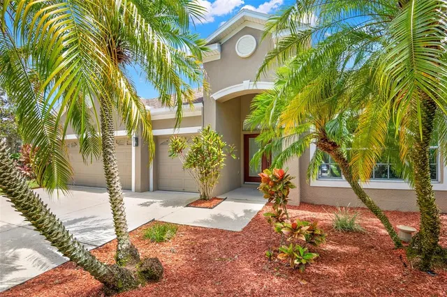 a view of a backyard with a swimming pool
