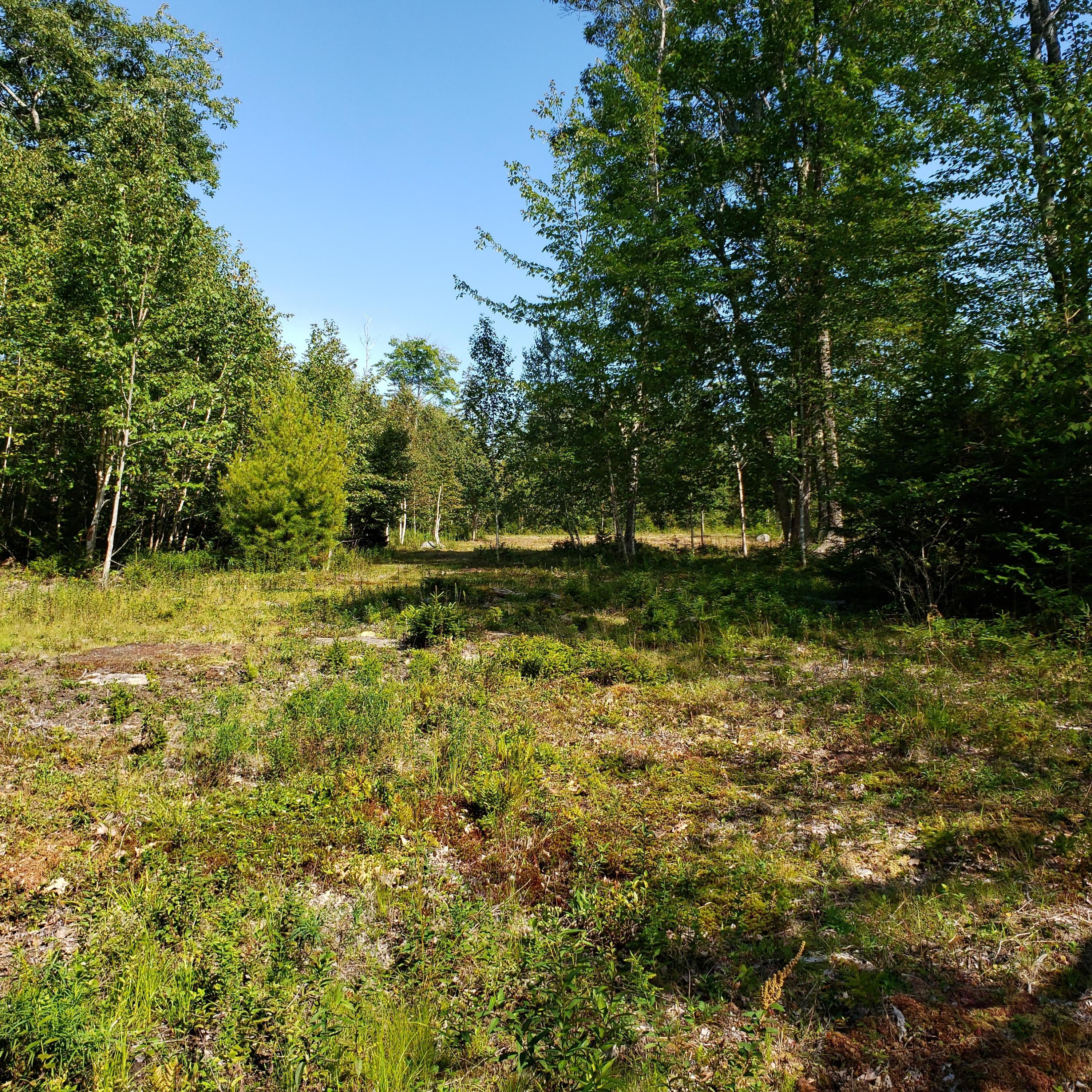 53 Cushing Farm Road New Harbor, ME 04554 - Photo 15 of 17 20190826_152605