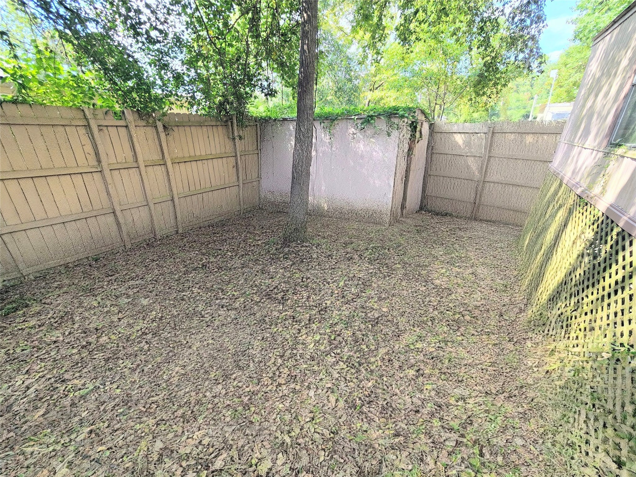 142 Aspen Livingston, TX 77351 - Photo 14 of 17 a backyard of a house