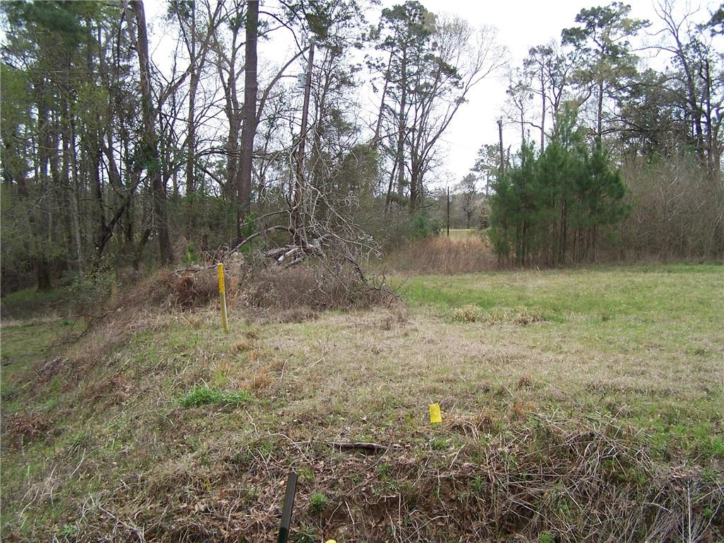 149 Pierson Road Kinder, LA 70648 - Photo 14 of 26 Gallery Image 14