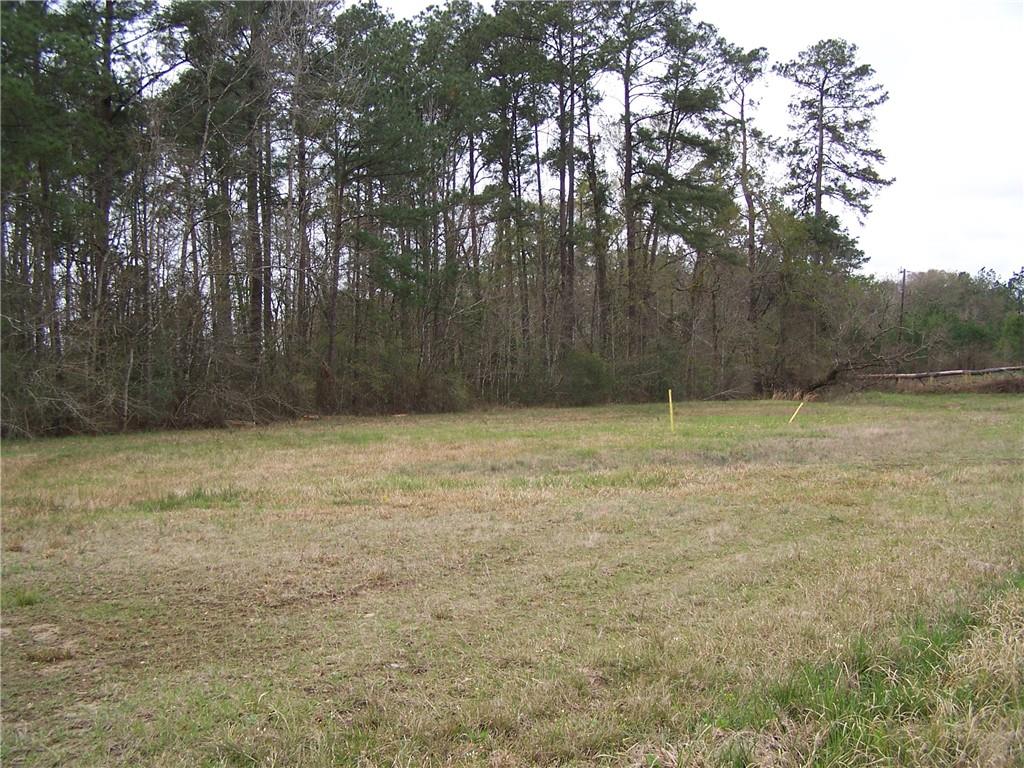 149 Pierson Road Kinder, LA 70648 - Photo 2 of 26 Gallery Image 2