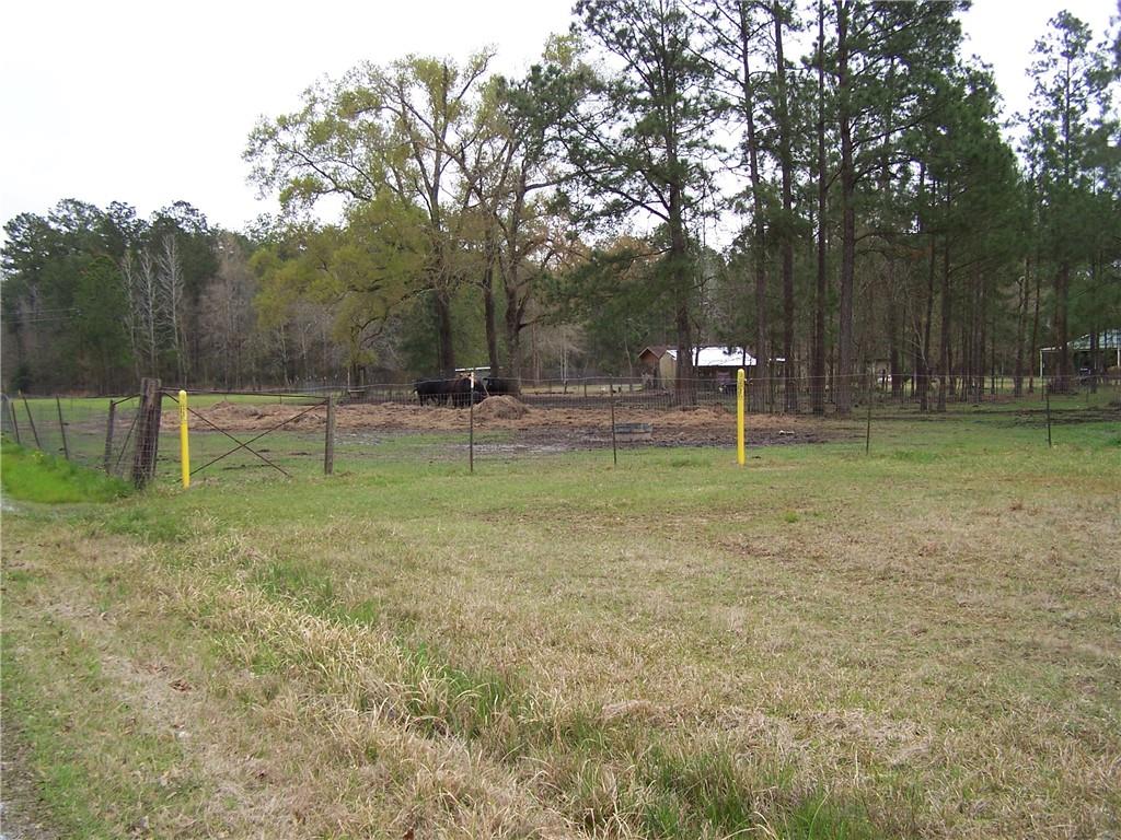 149 Pierson Road Kinder, LA 70648 - Photo 26 of 26 Gallery Image 26