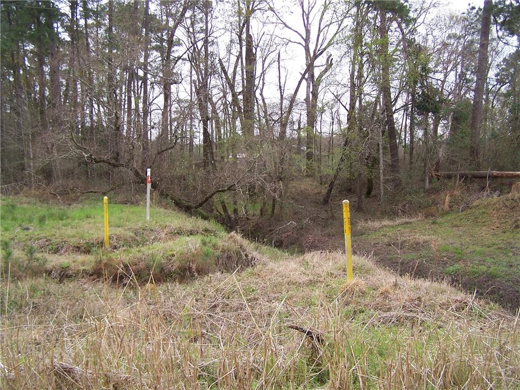 149 Pierson Road Kinder, LA 70648 - Photo 7 of 26 Gallery Image 7
