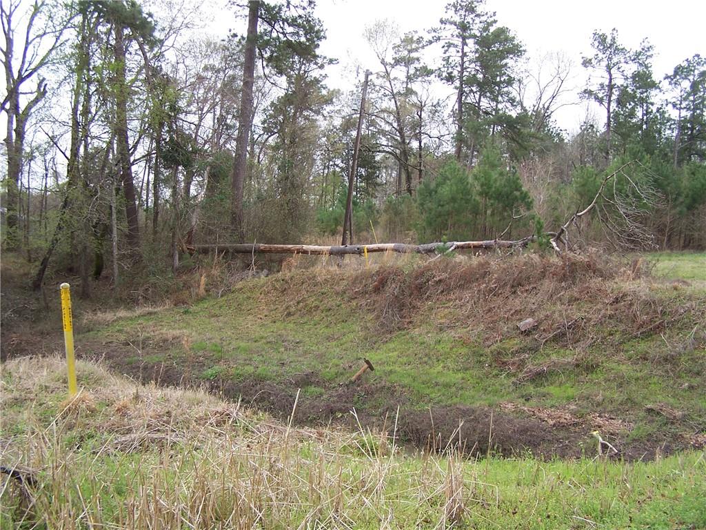 149 Pierson Road Kinder, LA 70648 - Photo 8 of 26 Gallery Image 8