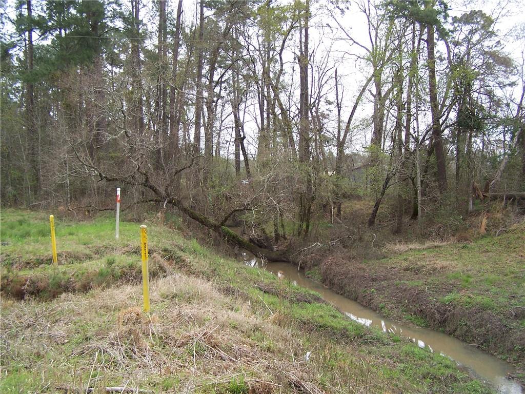 149 Pierson Road Kinder, LA 70648 - Photo 10 of 26 Gallery Image 10