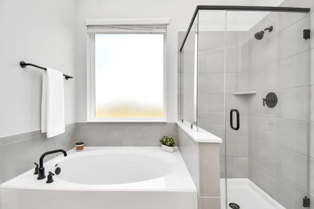 a bathroom with a bath tub and a shower