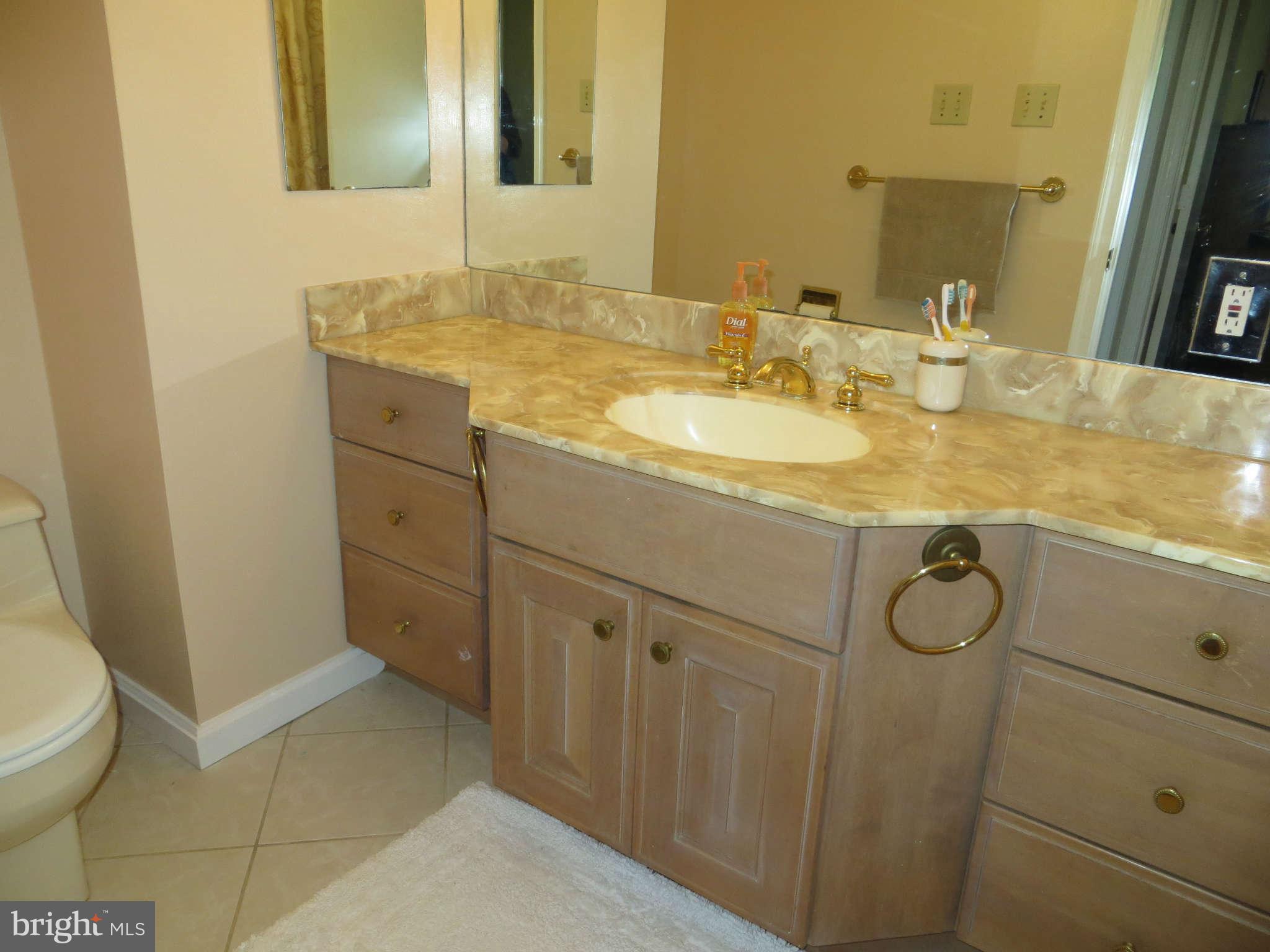 9919 Vale Road Vienna, VA 22181 - Photo 23 of 30 Bath