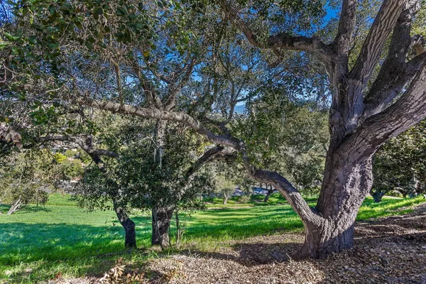 $869,000 | 665 Hillside Drive, Solvang, CA 93463