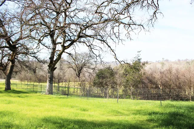 $525,000 | 703 Dunstone Drive, Oroville, CA 95966