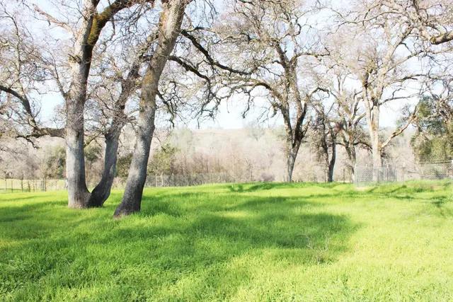 $525,000 | 703 Dunstone Drive, Oroville, CA 95966