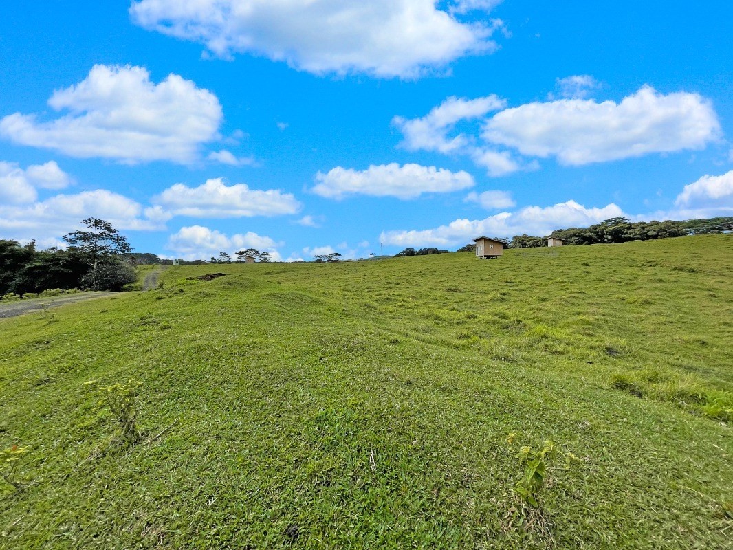 36 B Kaiwiki-Homestead Road Papaikou, HI 96781 - Photo 6 of 12 a view of an ocean from a yard