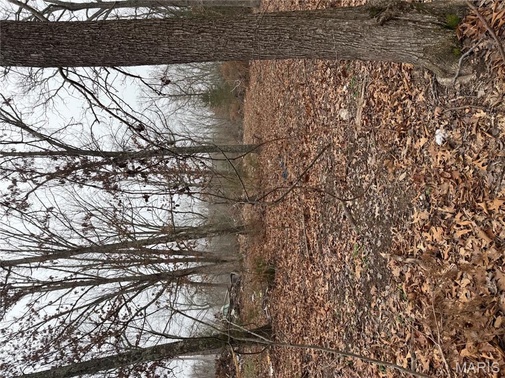 25840 Rim Drive Waynesville, MO 65583 - Photo 2 of 9