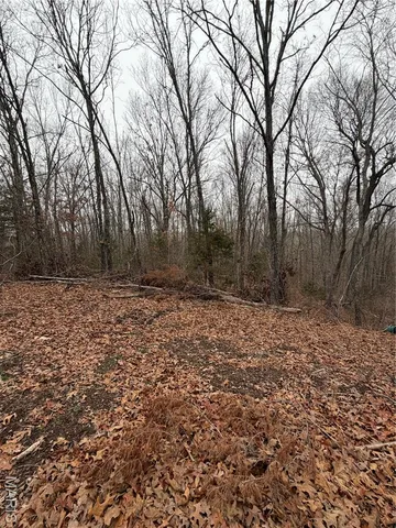 $25,000 | 25840 Rim Drive, Waynesville, MO 65583