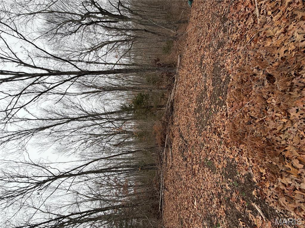 25840 Rim Drive Waynesville, MO 65583 - Photo 3 of 9