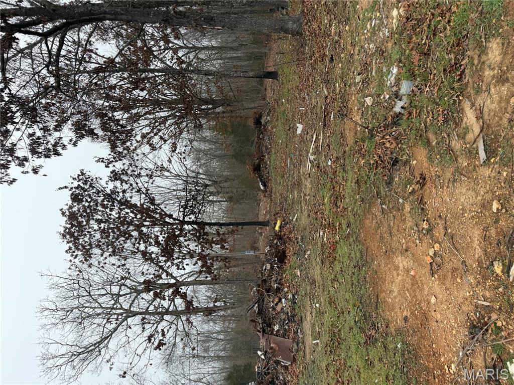 25840 Rim Drive Waynesville, MO 65583 - Photo 4 of 9