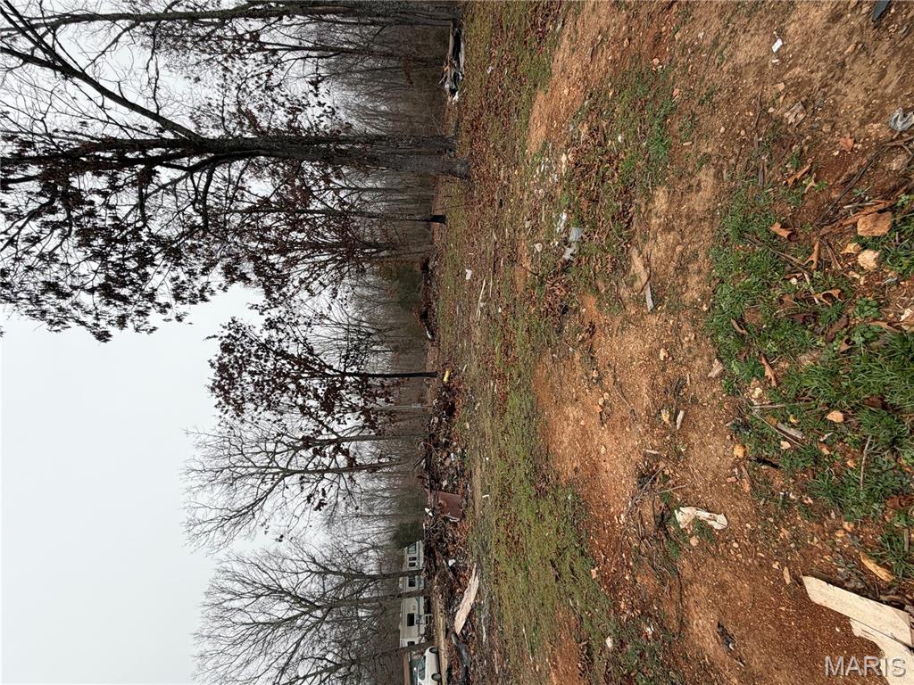 25840 Rim Drive Waynesville, MO 65583 - Photo 5 of 9