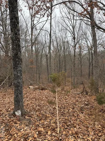 $25,000 | 25840 Rim Drive, Waynesville, MO 65583