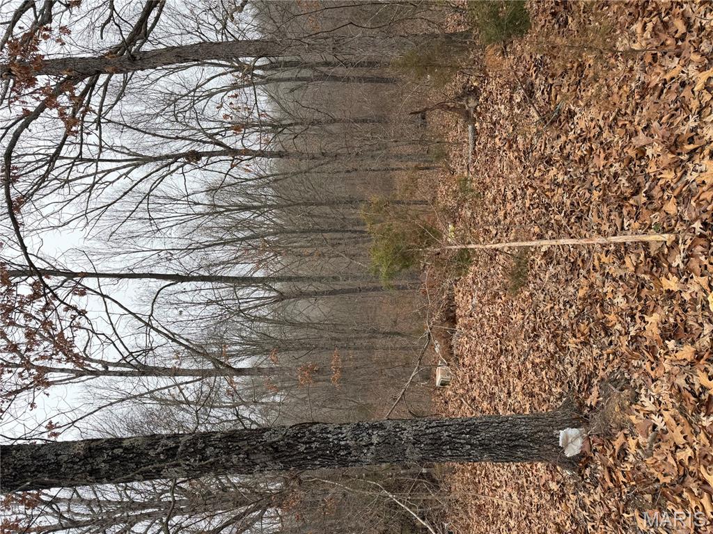 25840 Rim Drive Waynesville, MO 65583 - Photo 6 of 9