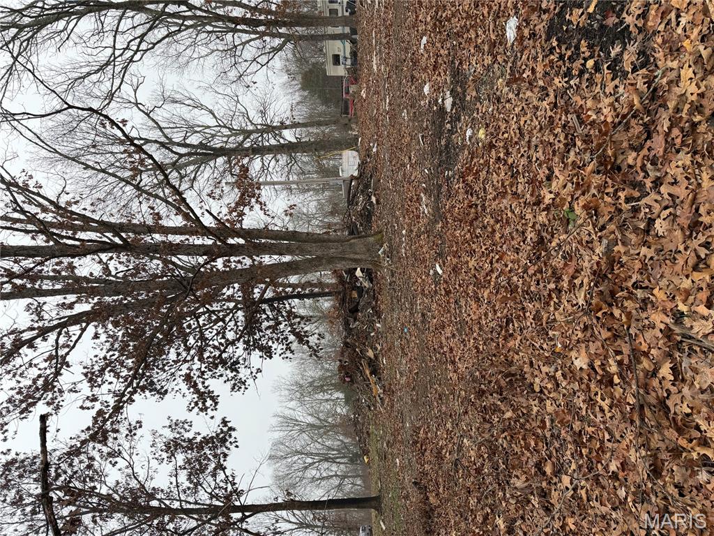 25840 Rim Drive Waynesville, MO 65583 - Photo 8 of 9