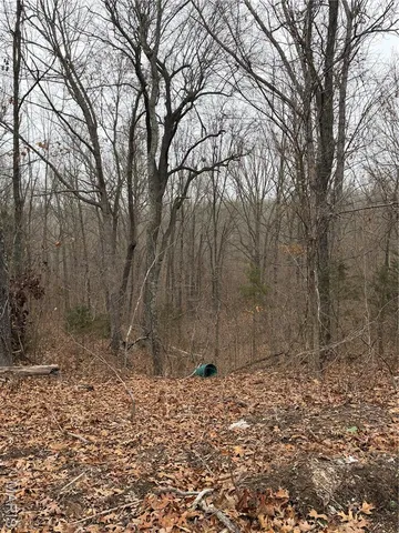 $25,000 | 25840 Rim Drive, Waynesville, MO 65583