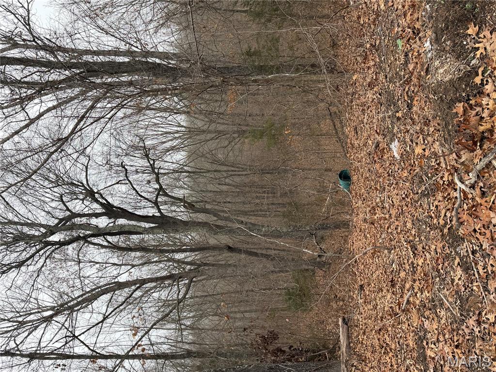 25840 Rim Drive Waynesville, MO 65583 - Photo 9 of 9