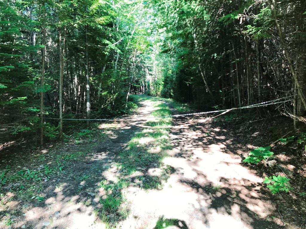 Tbd B&a Railroad North Road North Shirley, ME 04485 - Photo 7 of 22 Photo