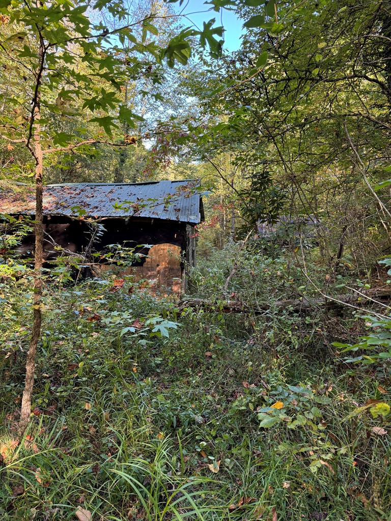 0 Rocky Cr Road Andrews, NC 28901 - Photo 11 of 11 Gallery Image 11
