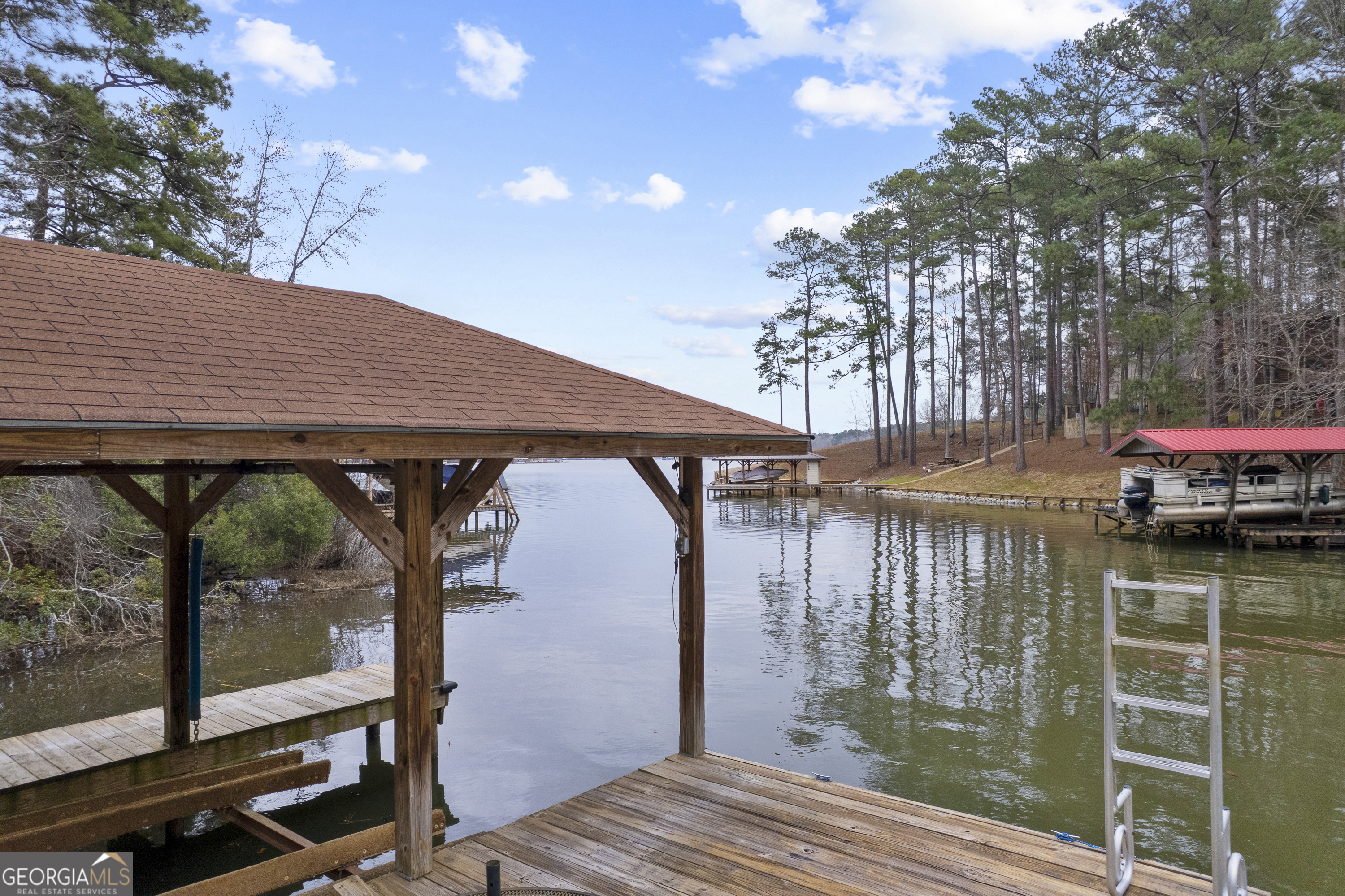 1011 Sandy Run Drive Sparta, GA 31087 - Photo 29 of 39