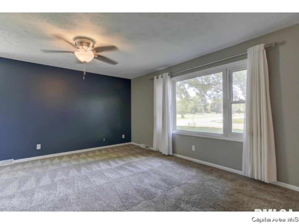 2 Arthur Drive Rochester, IL 62563 - Photo 12 of 36