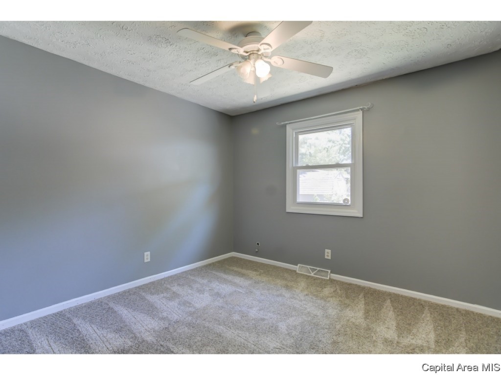 2 Arthur Drive Rochester, IL 62563 - Photo 28 of 36