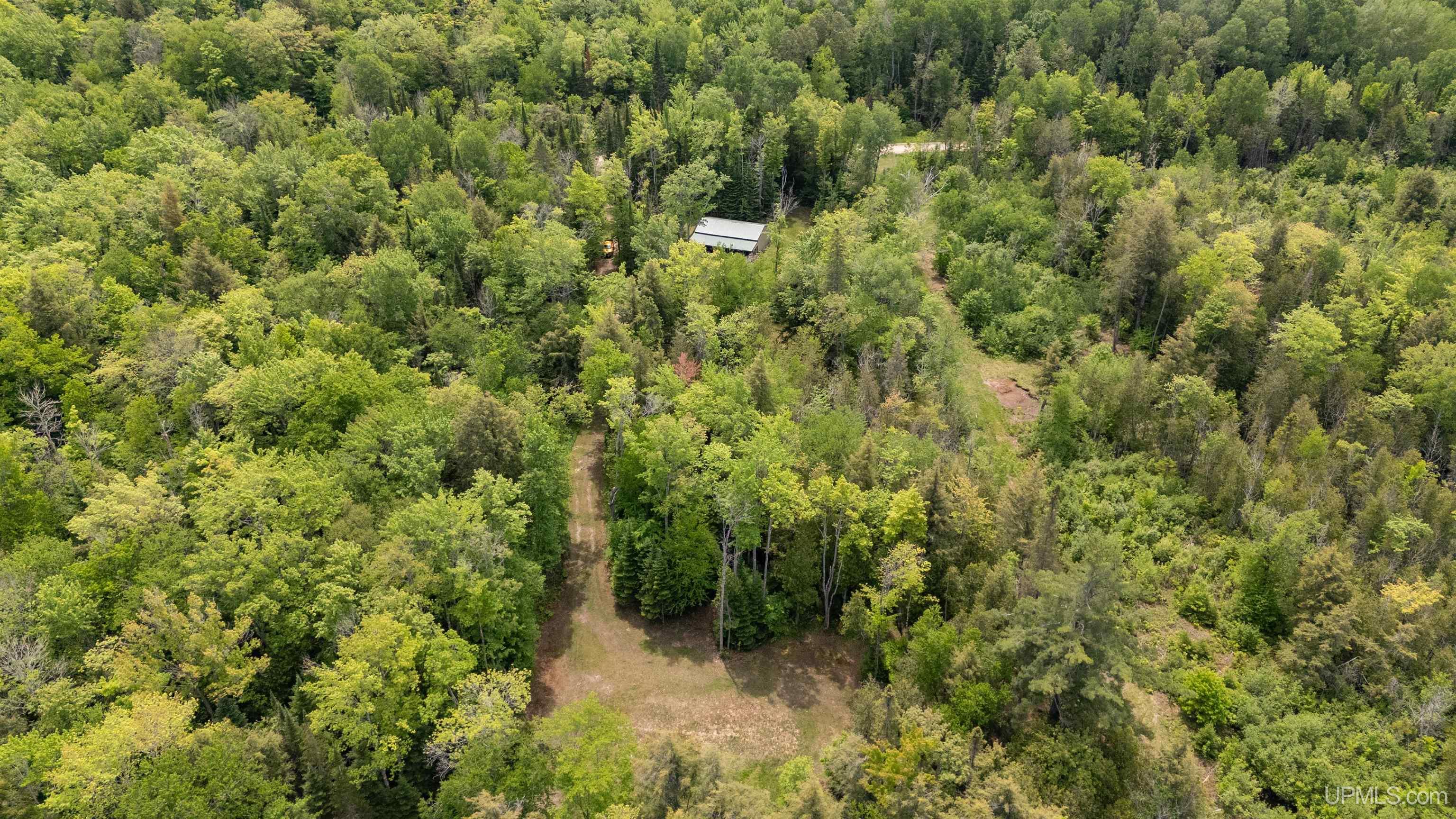 27714 Kline Road McMillan, MI 49853 - Photo 10 of 17