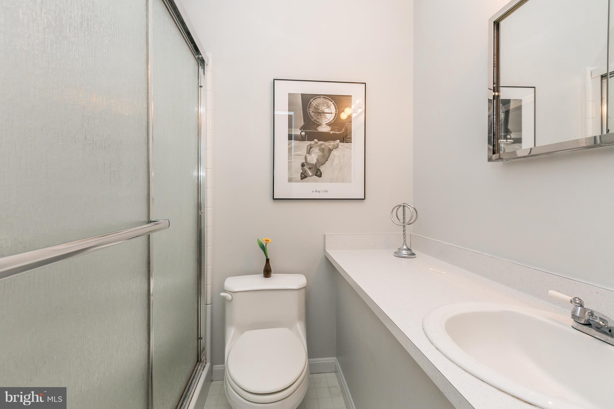 112 Walgrove Road Reisterstown, MD 21136 - Photo 16 of 30 Bath (Master)