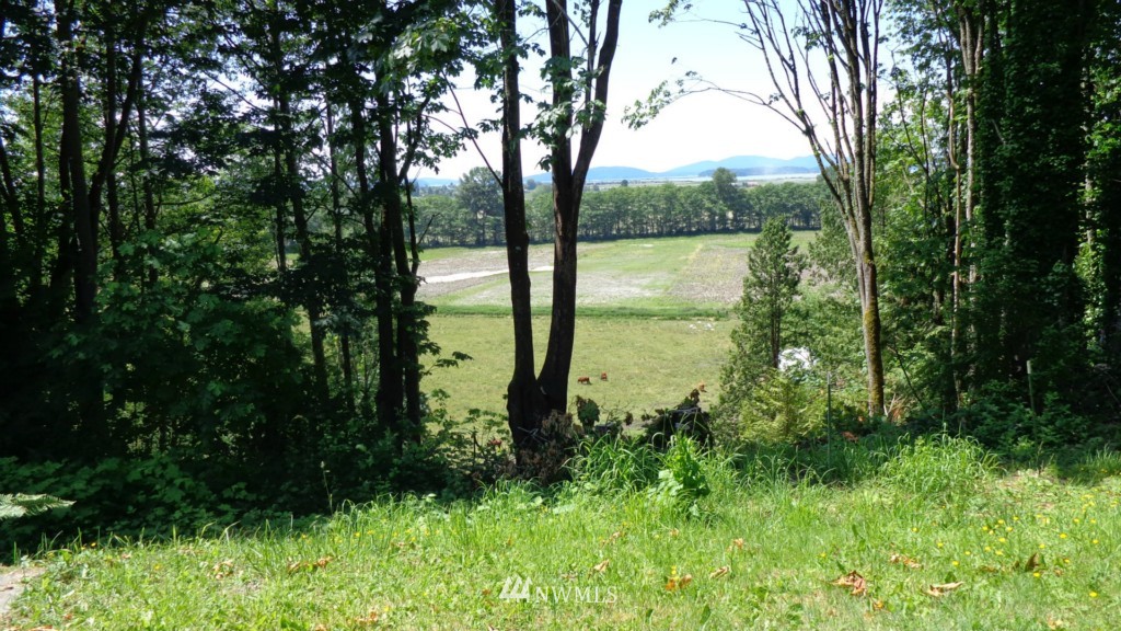 16184 Colony Road Bow, WA 98232 - Photo 16 of 18 Gallery Image 16