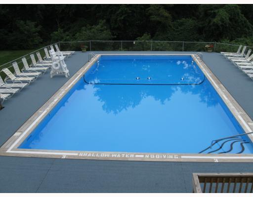 1005 Kenzie Road, Unit 1005 Pittsburgh, PA 15205 - Photo 6 of 18 Swimming Pool/Hot Tub/Sauna.