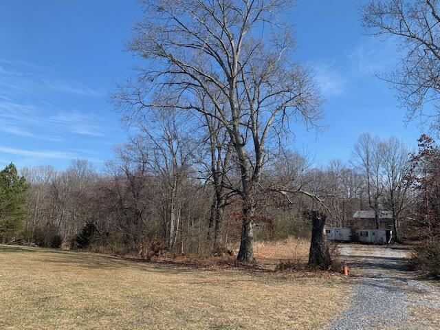 0 Shingle Block Road Bedford, VA 24523 - Photo 3 of 6 IMG_4651