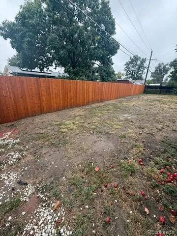 a view of backyard with tree