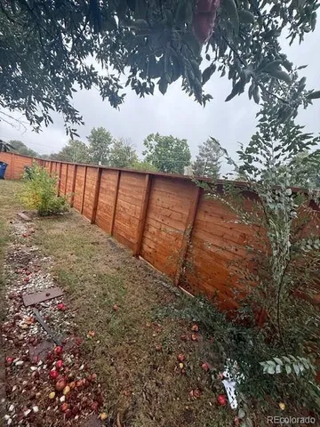 a view of backyard with large tree
