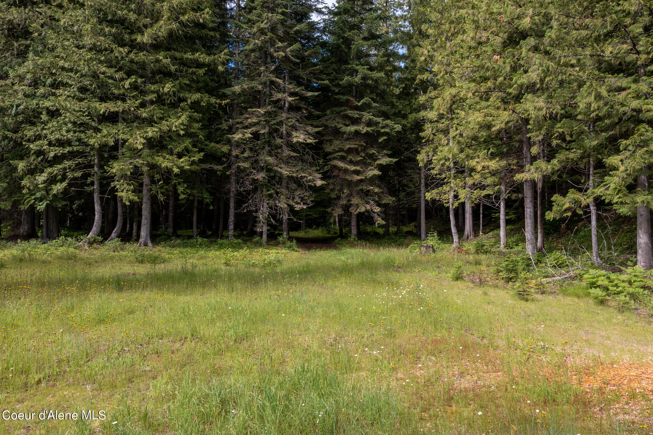 Nna Beaver Creek Road Wallace, ID 83873 - Photo 16 of 57 DJI_0792-HDR-27
